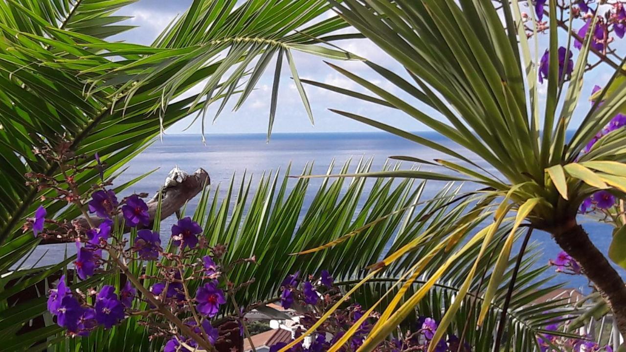 Miradouro Da Papalva Guest House - Pico - Azores Sao Joao  Zewnętrze zdjęcie