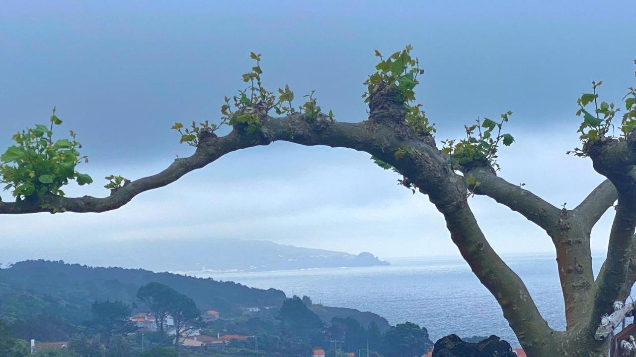 Miradouro Da Papalva Guest House - Pico - Azores Sao Joao  Zewnętrze zdjęcie